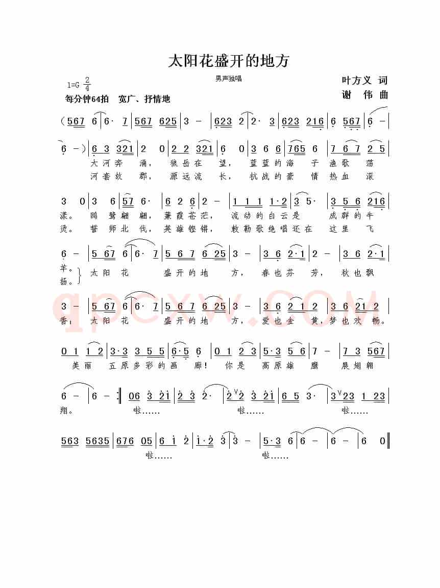 太阳花盛开的地方（叶方义词  谢伟曲）