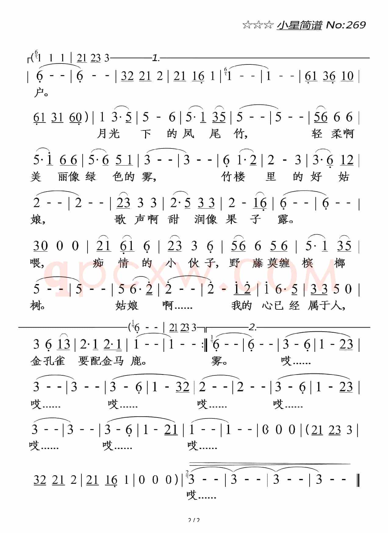月光下的凤尾竹