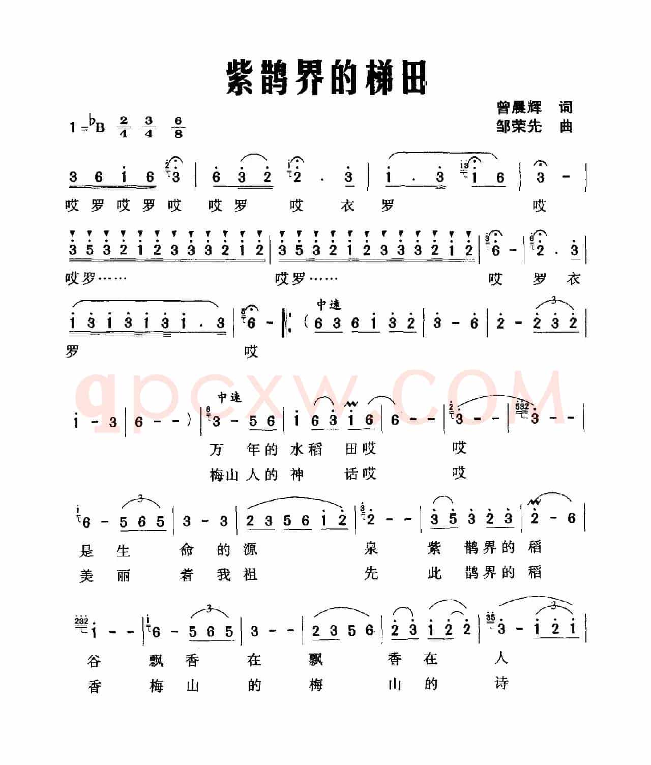 紫鹊界的梯田