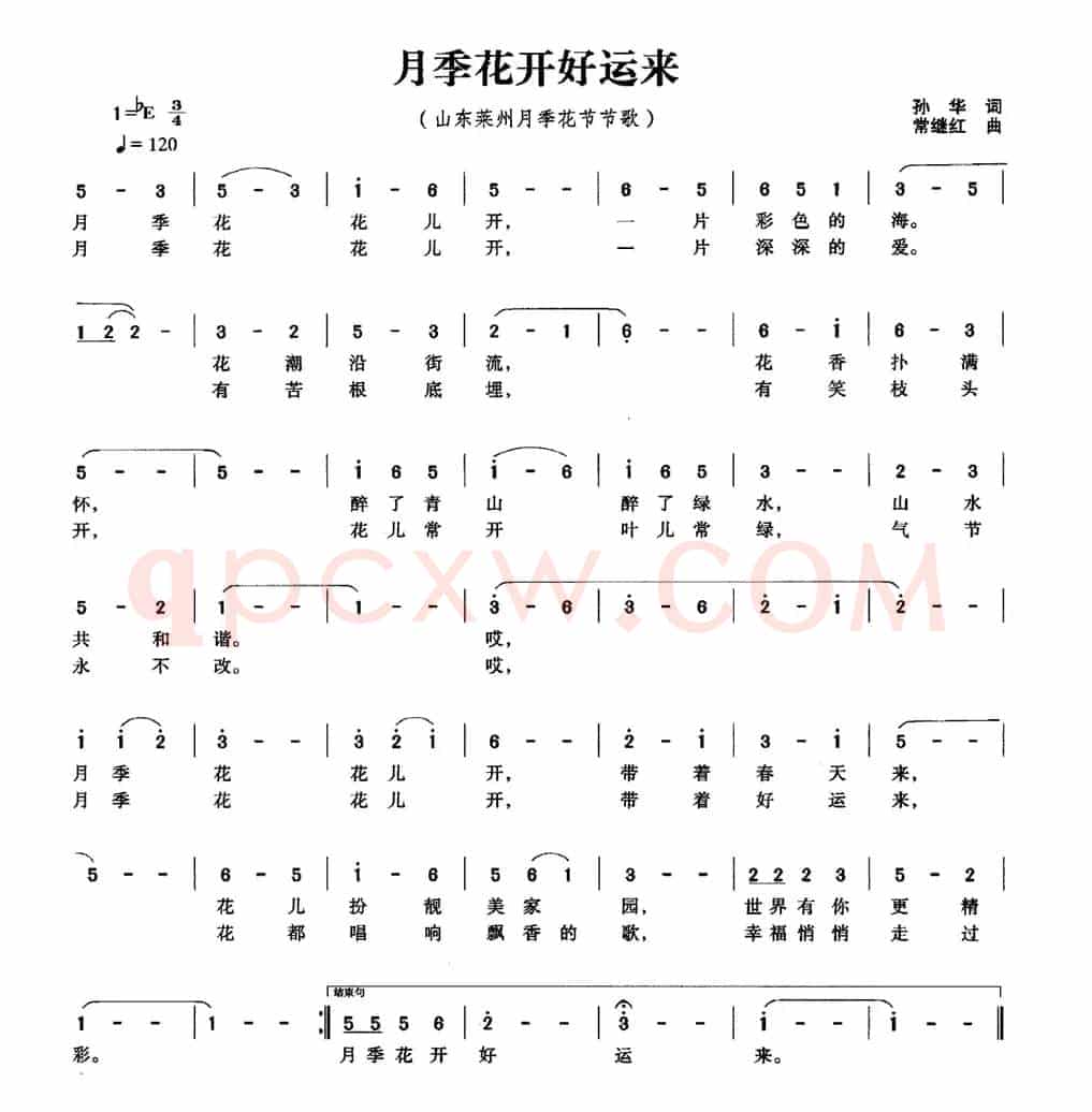 月季花开好运来