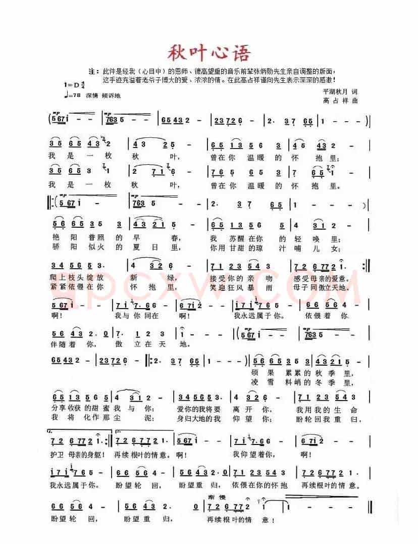 秋叶心语