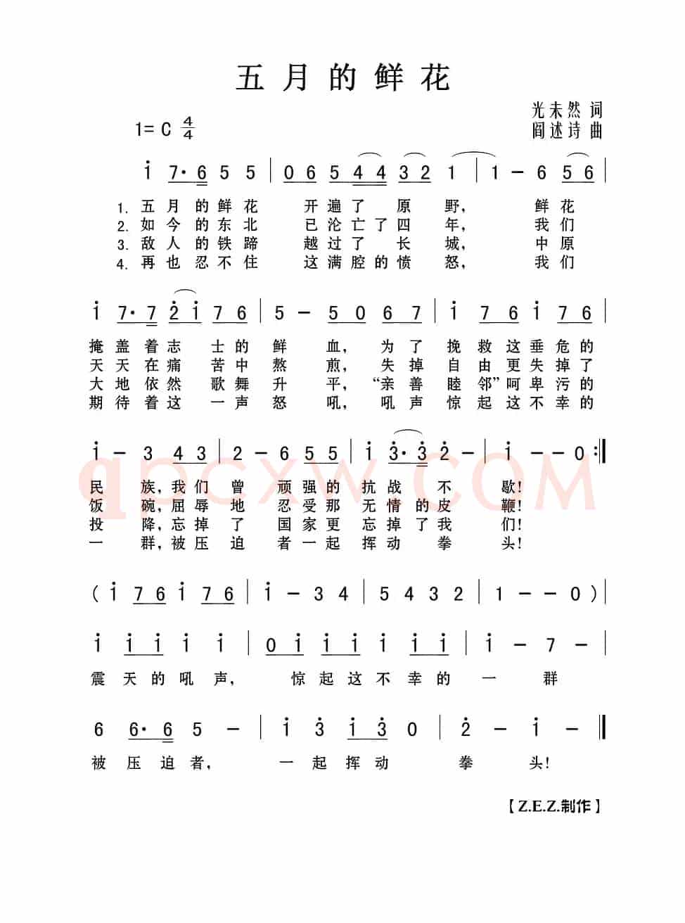 五月的鲜花