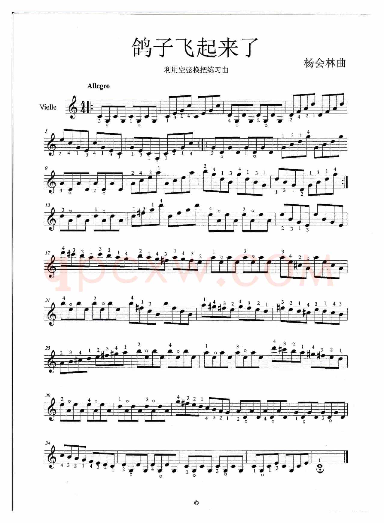 鸽子飞起来了（小提琴曲）