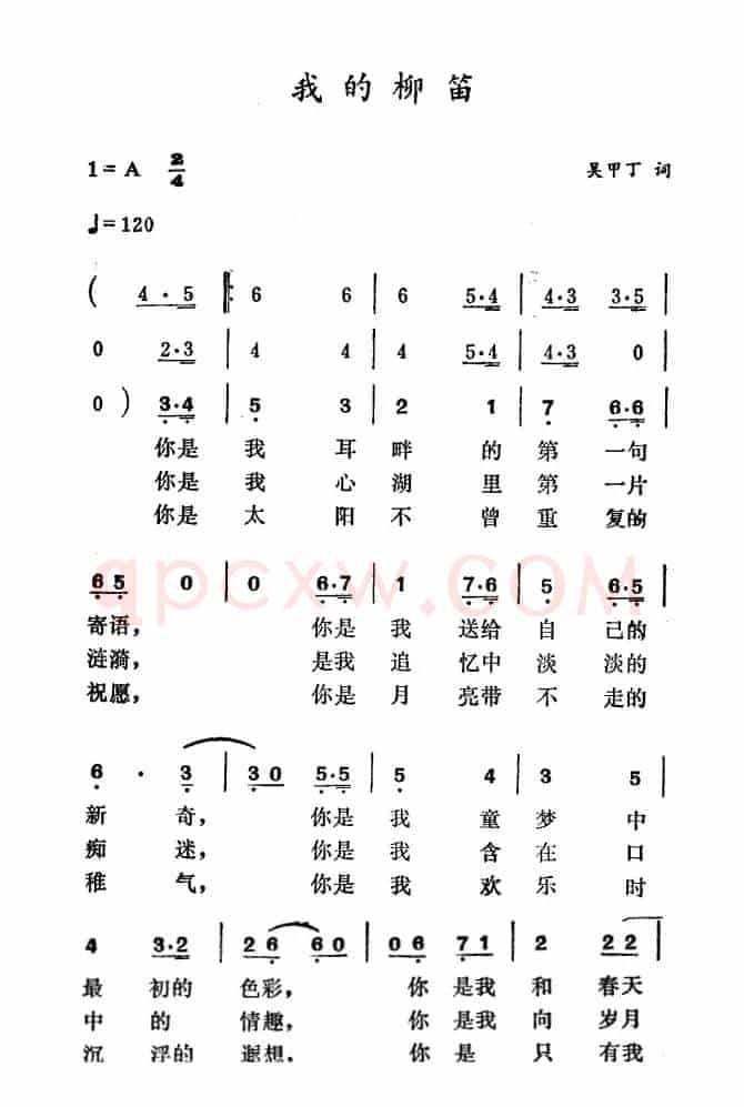 我的柳笛