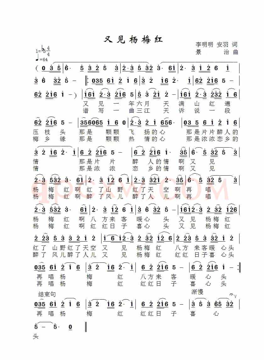 又见杨梅红