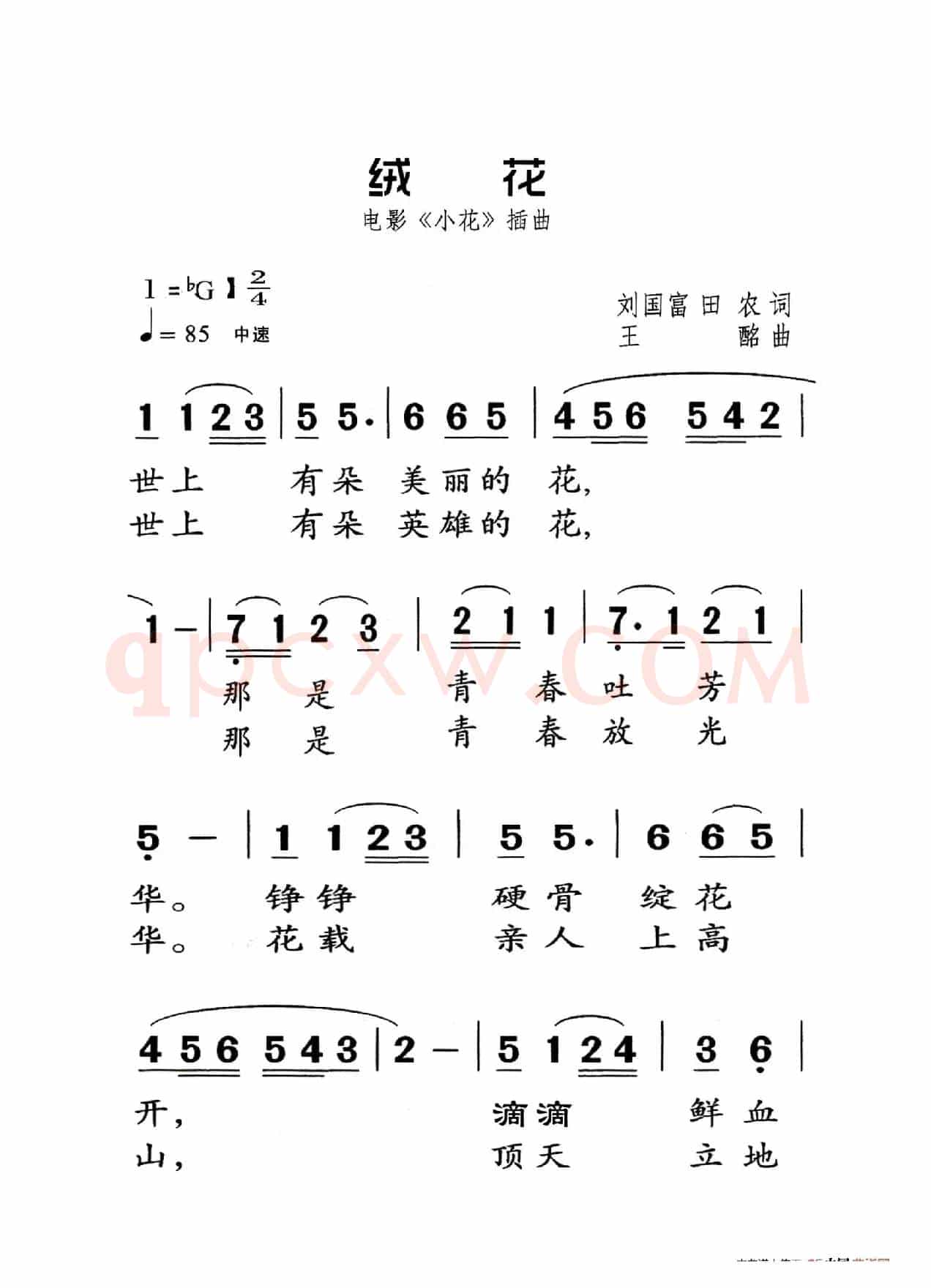 绒花（老人适用）