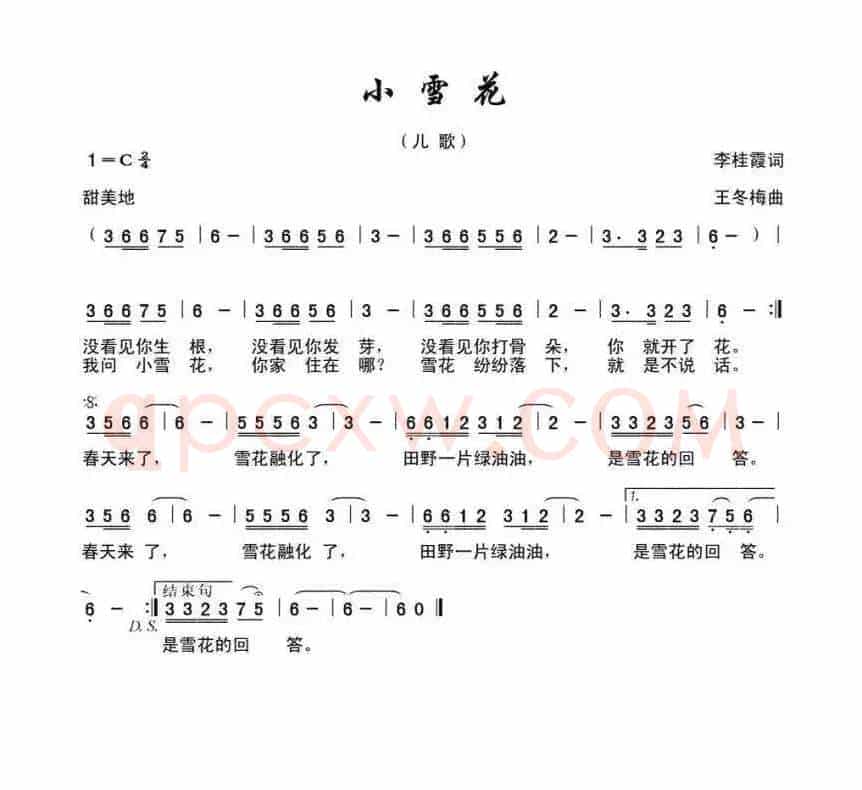 小雪花