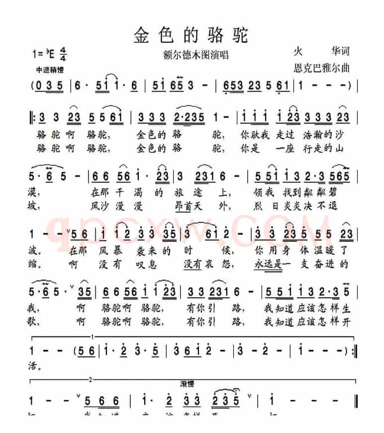 金色的骆驼