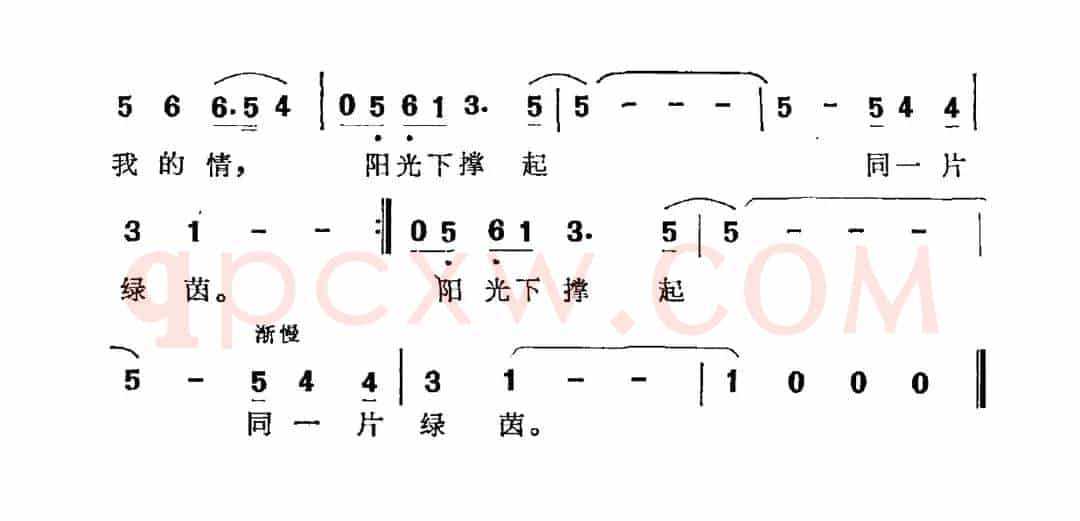 阳光下撑起同一片绿茵