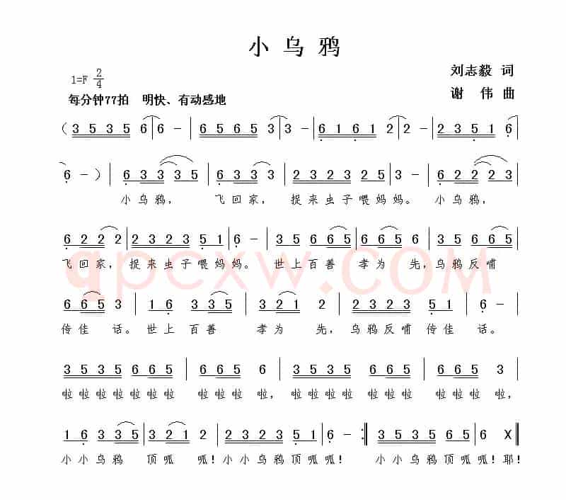 小乌鸦（刘志毅词 谢伟曲）
