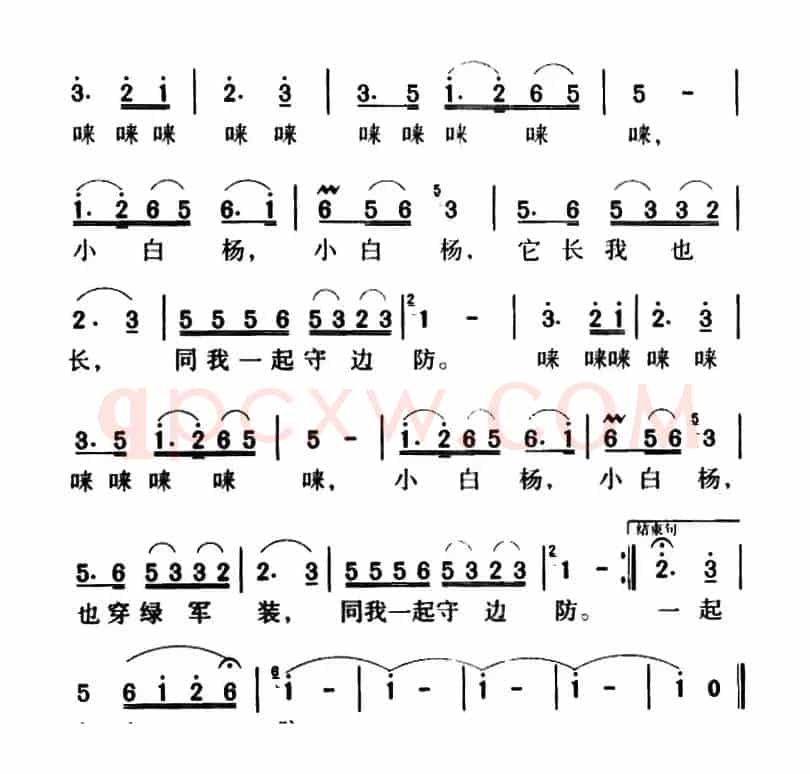 军歌金曲：小白杨