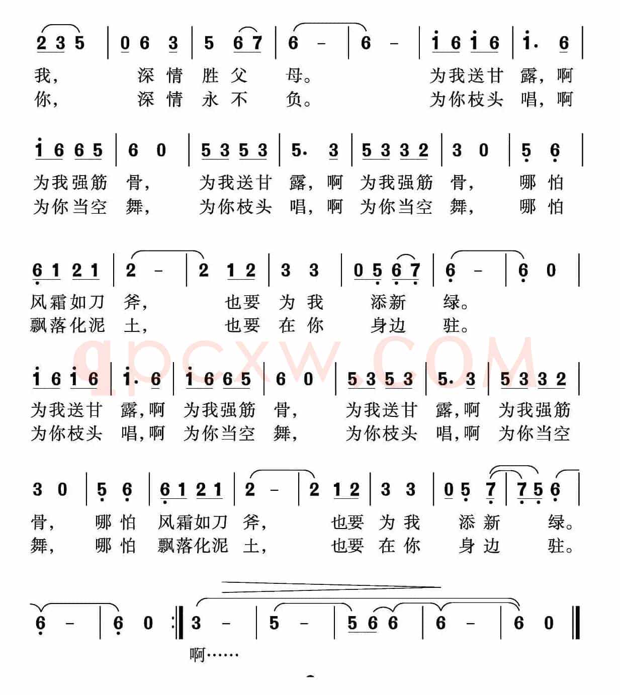 我是一片叶 你是一棵树