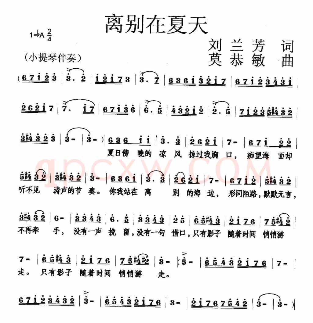 离别在夏天