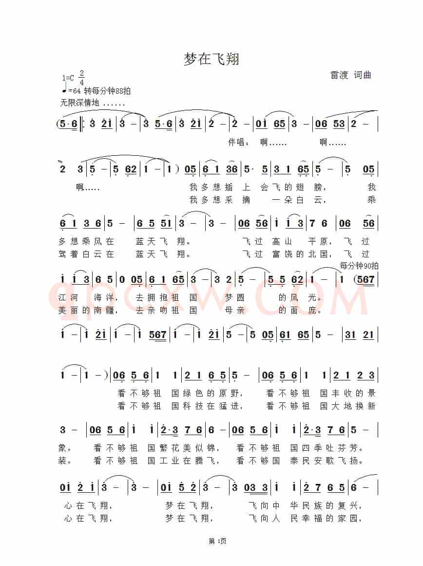 梦在飞翔