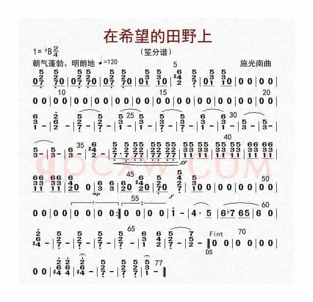 在希望的田野上（笙分谱）