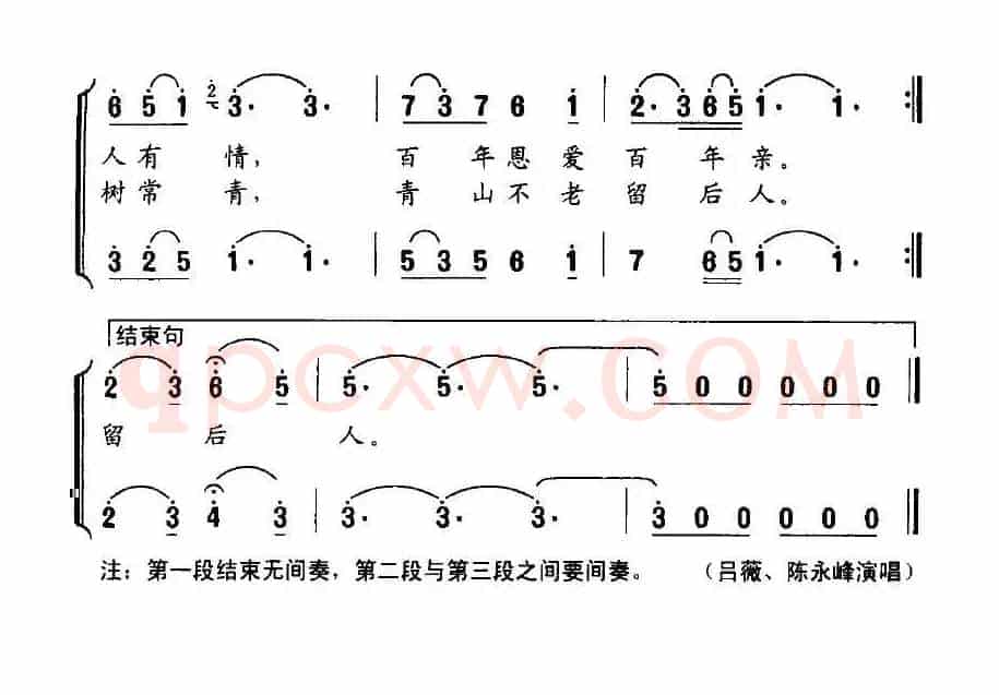 种下一棵爱情树（韩景连词 平安俊曲）