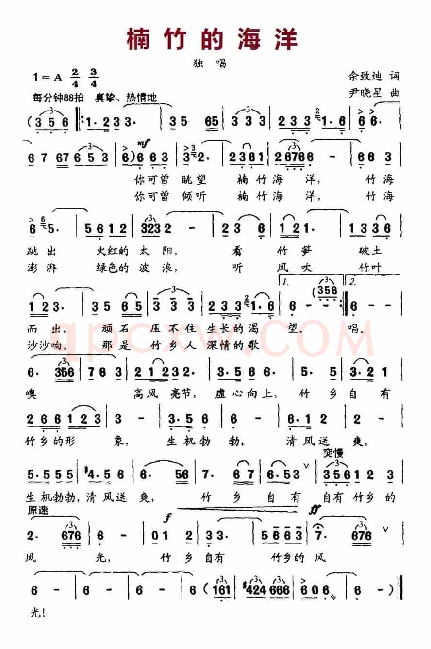 楠竹的海洋