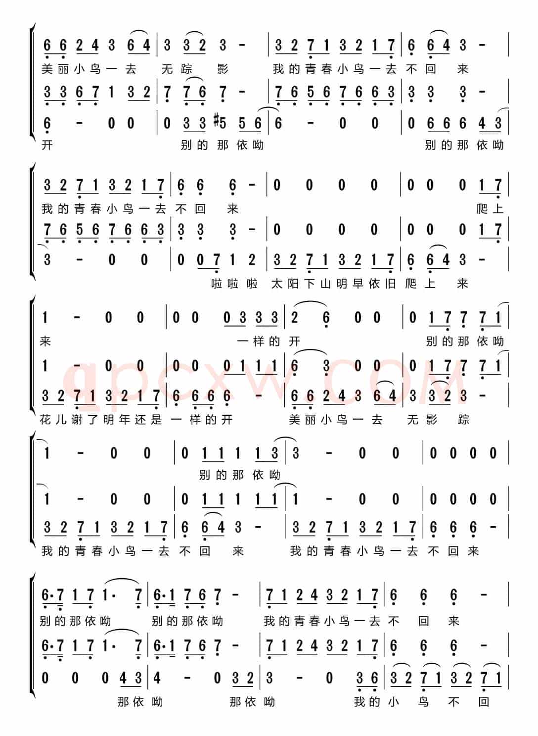 青春舞曲（梦之旅组合）