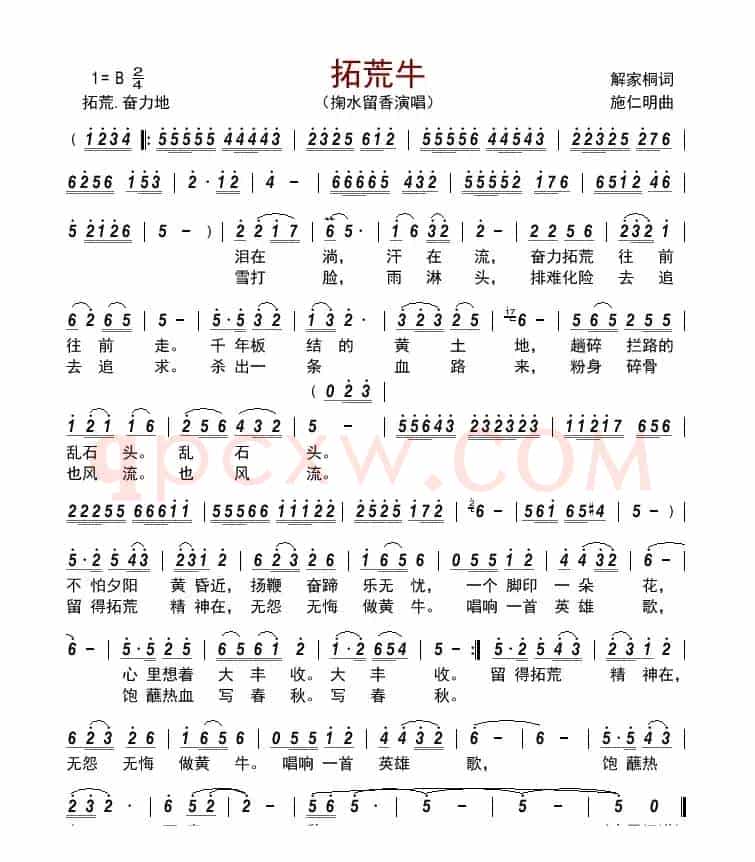拓荒牛