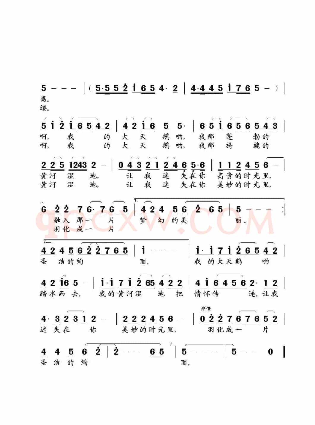 我的大天鹅