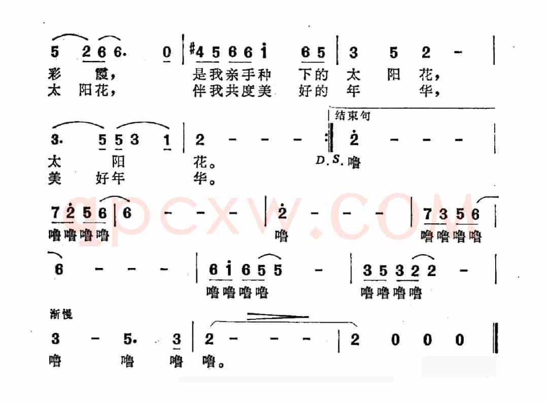 太阳花（乔方词 平远曲）