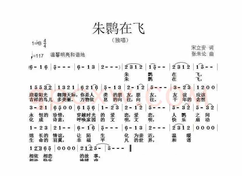 朱鹮在飞