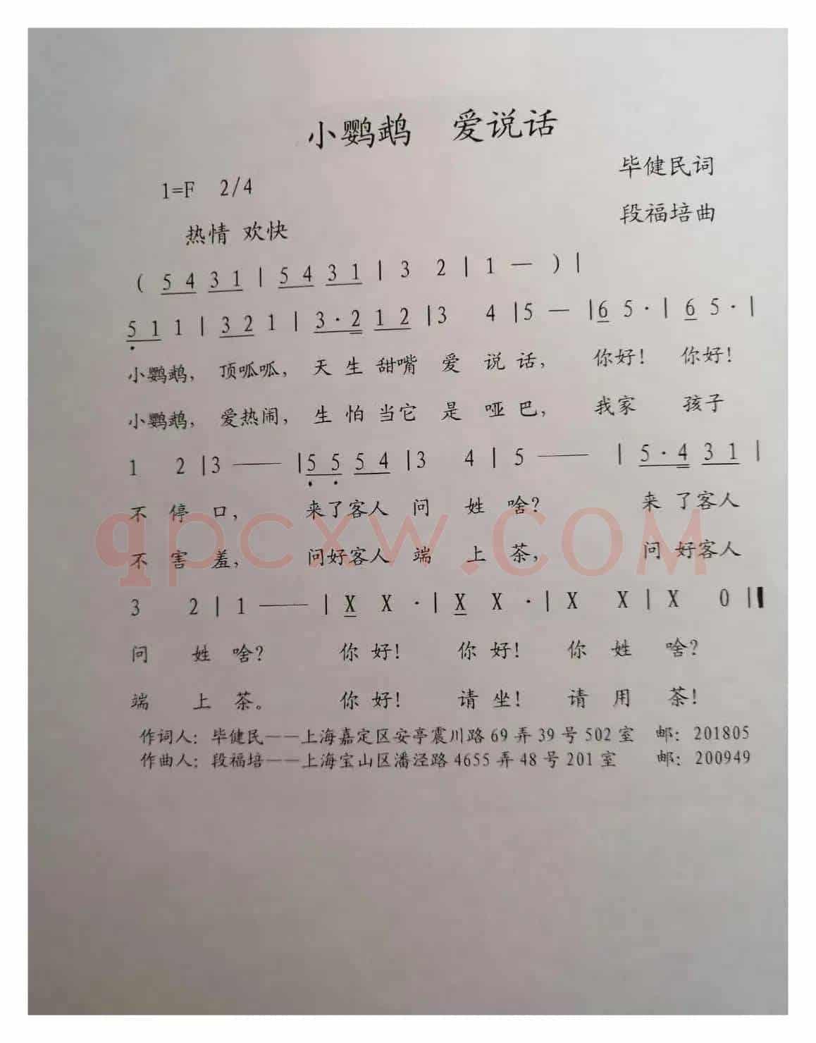 小鹦鹉 爱说话 