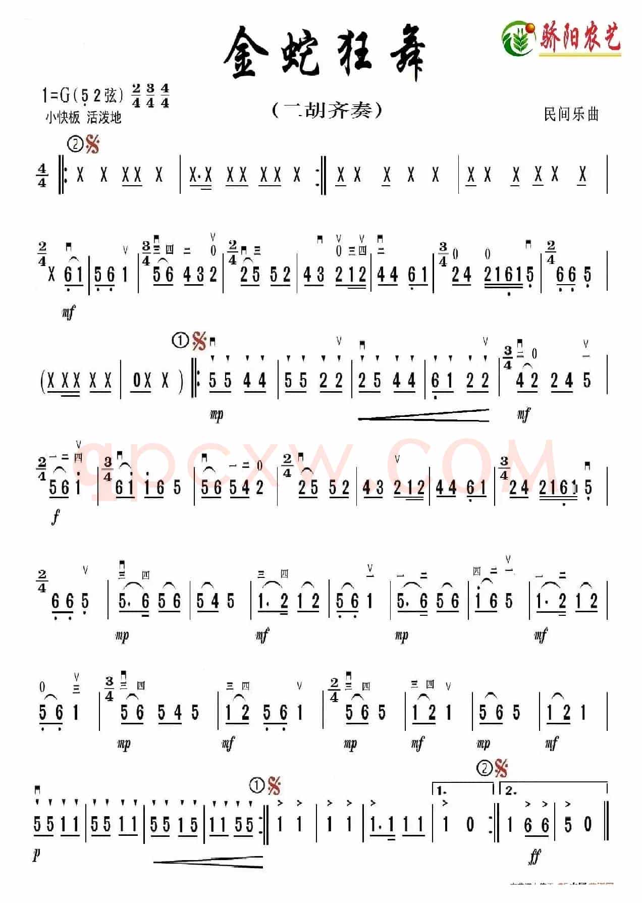 金蛇狂舞（二胡齐奏）