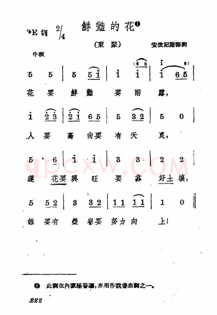 鲜艳的花