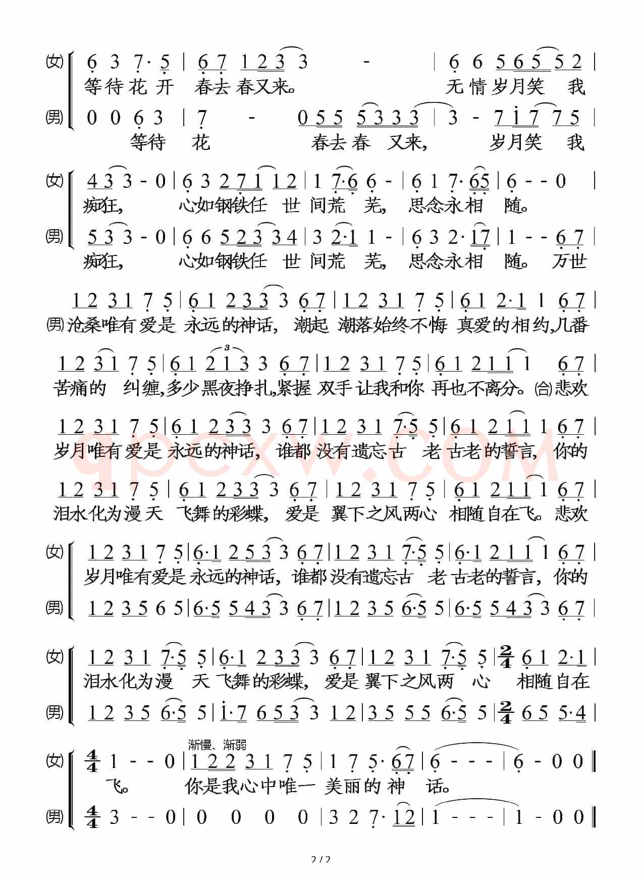 美丽的神话
