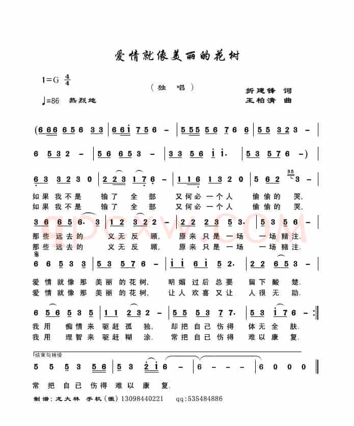 爱情就像美丽的花