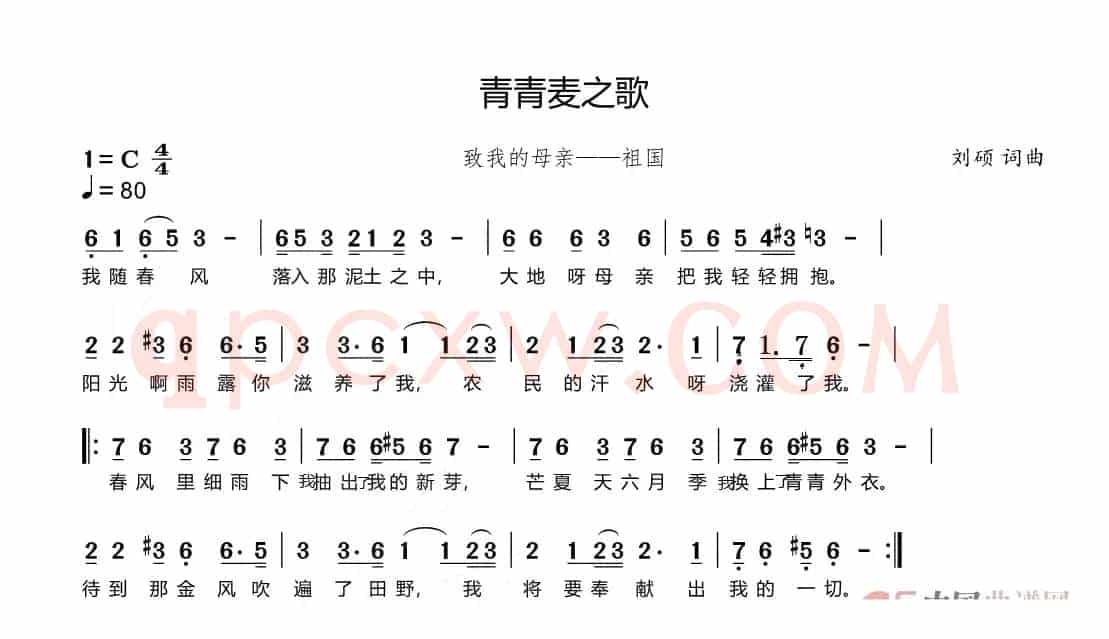 青青麦之歌（感恩祖国）