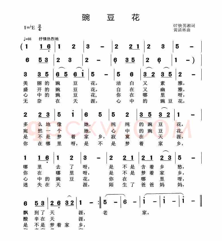 豌豆花（颜志刚词 黄清林曲）