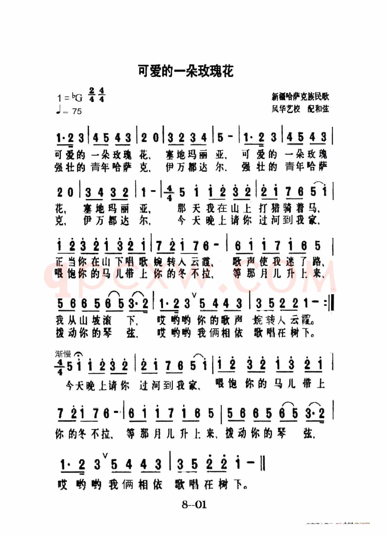 可爱的一朵玫瑰花（老人适用）