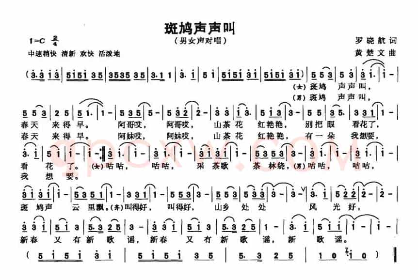 斑鸠声声叫