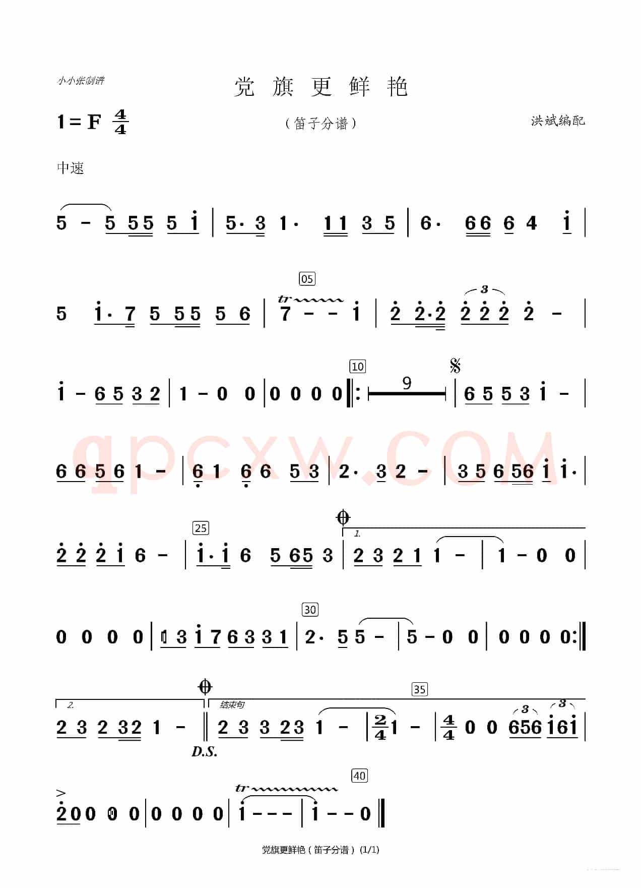 党旗更鲜艳（洪斌配器分谱）（小小张制谱）