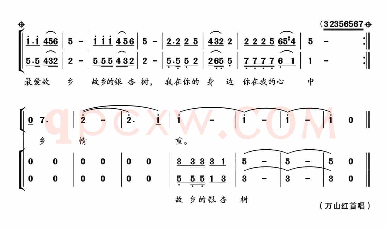 最爱故乡银杏树