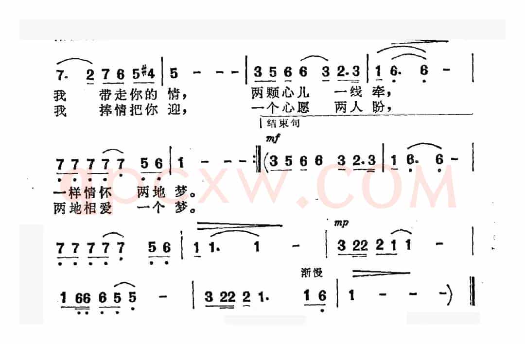 橄榄梦