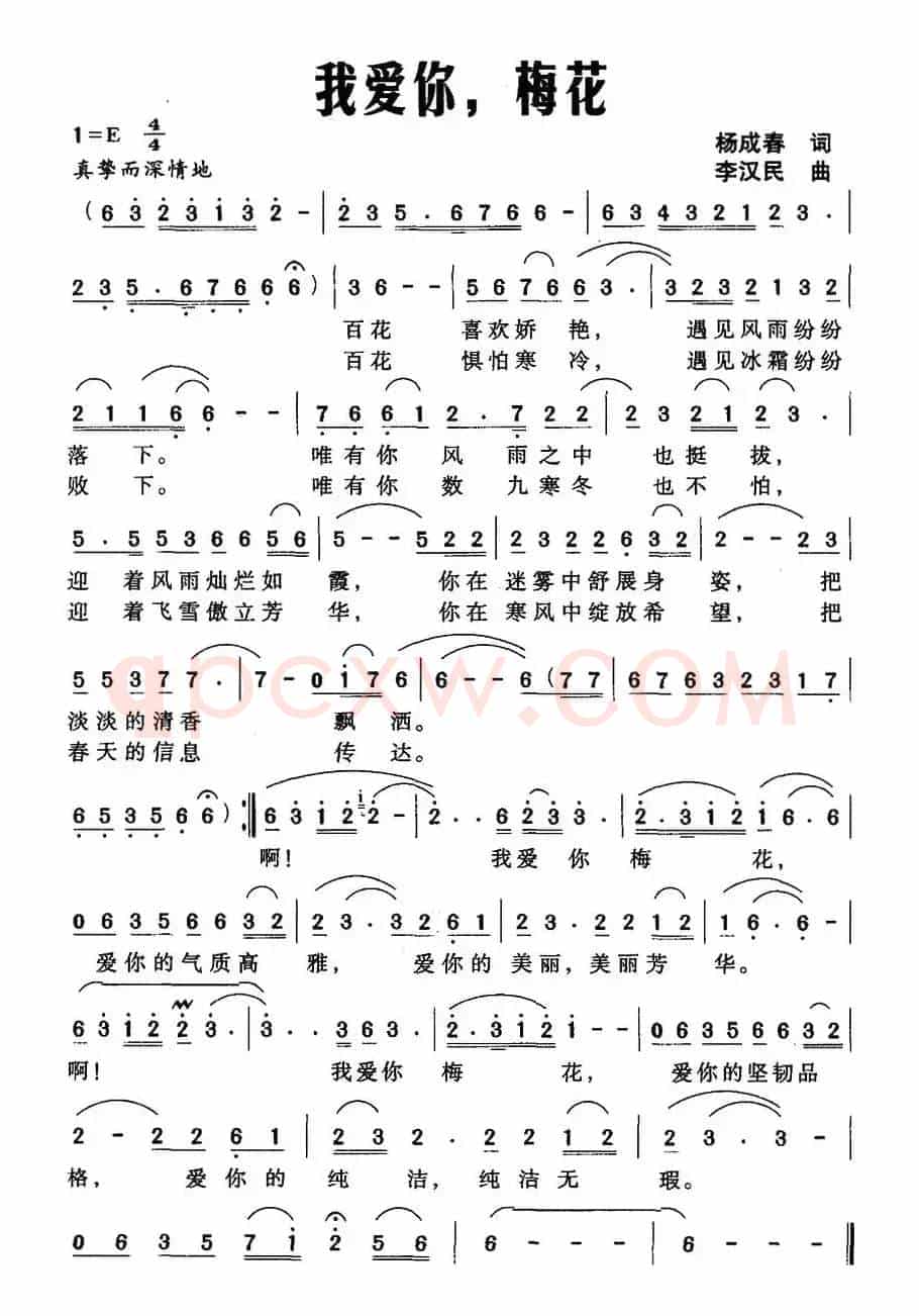 我爱你，梅花