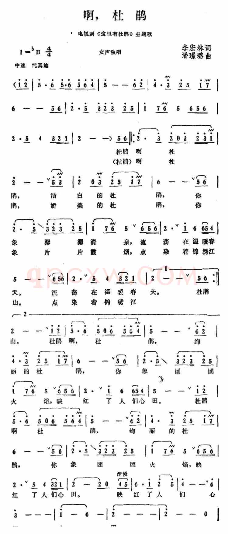 啊，杜鹃（电视剧《这里有杜鹃》主题歌）