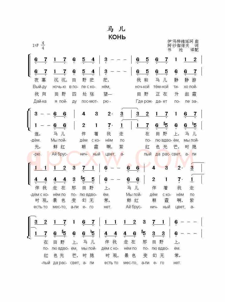 马儿Конь（中俄简谱）