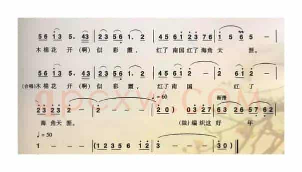 木棉恋