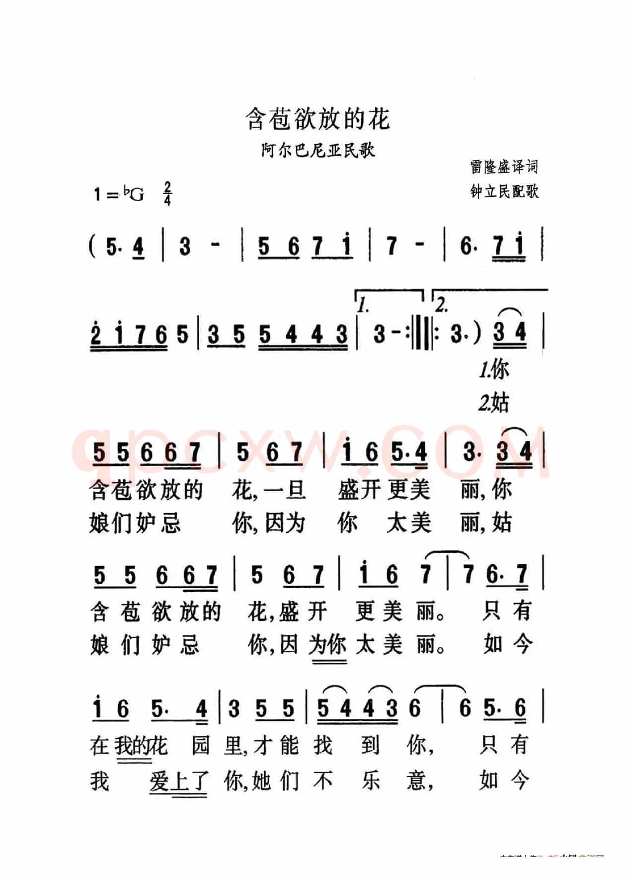 含苞欲放的花（大字老人适用）