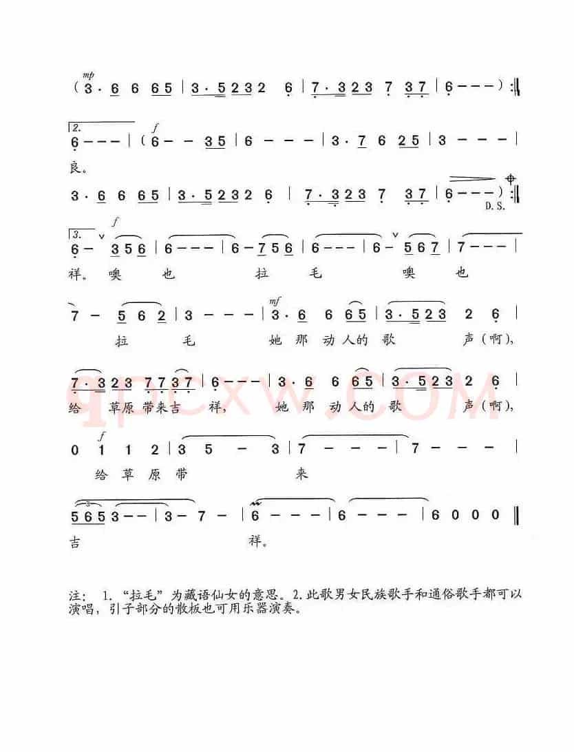 美丽的拉毛