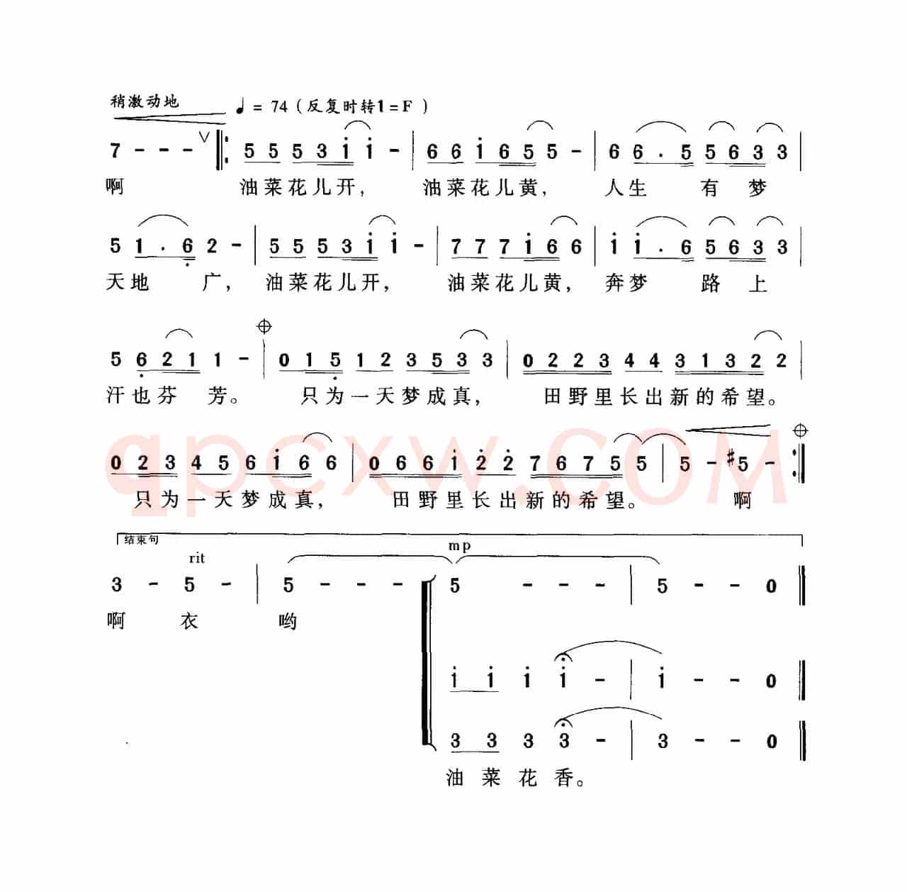 油菜花开（鲁小平词 李小平曲）