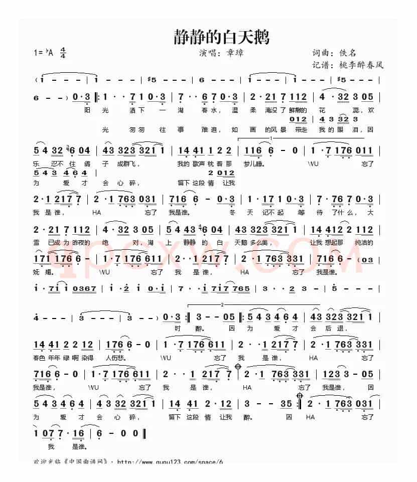 静静的白天鹅