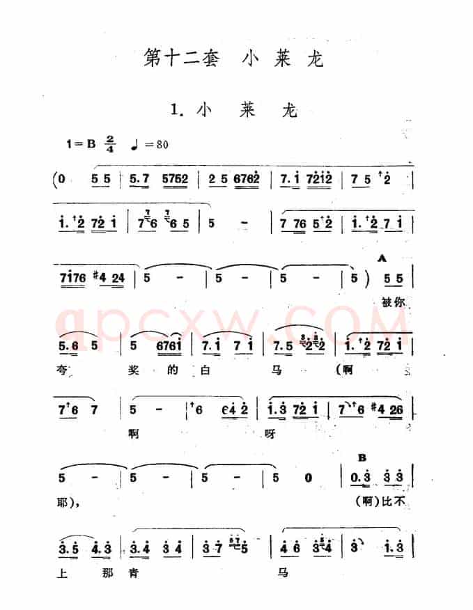 小莱龙（新疆伊犁 维吾尔民歌 第十二套《小莱龙》）