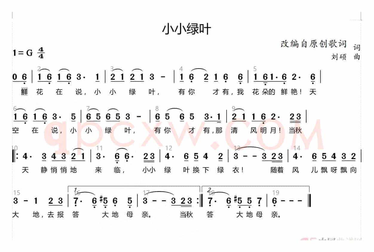 小小绿叶