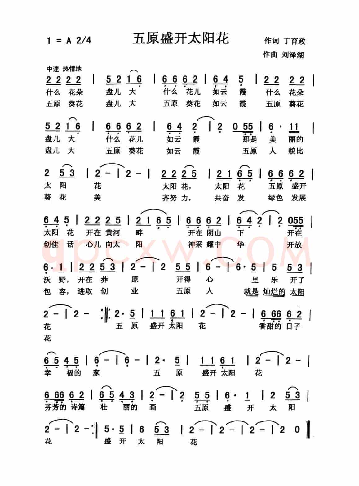 五原盛开太阳花（佩芳 常榕）