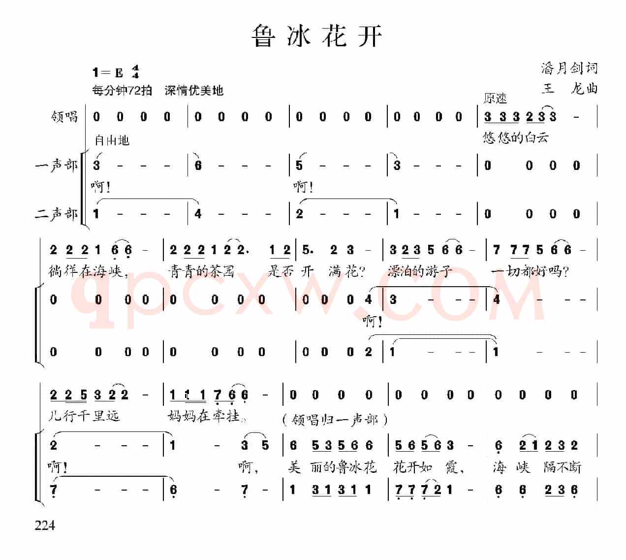 鲁冰花开(合唱)